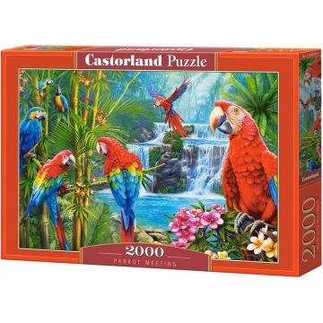 Puzzle Castorland din 2000 de piese - Întâlnire papagală