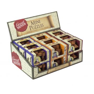 Puzzle logic din lemn Professor Puzzle - Great Minds, soeriment