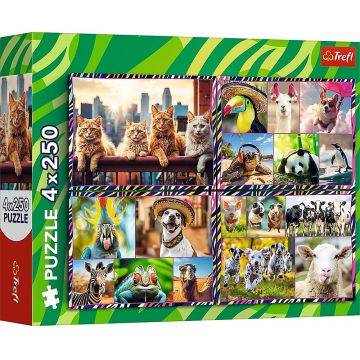 Puzzle Trefl din 4 x 250 piese - Animale amuzante