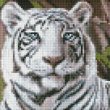 Tapiserie cu diamante  Ideyka - Tigrul bengalez, 20 х 20 cm
