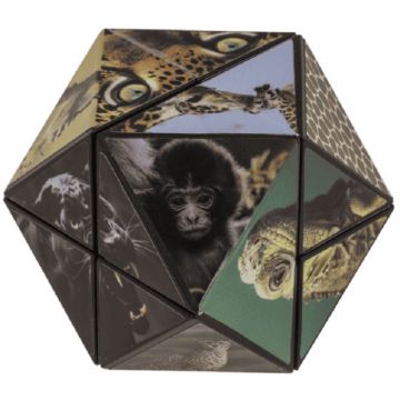 Cub magic cu formă schimbătoare Out of the Blue - Animale sălbatice