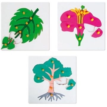 Puzzle din lemn  Nowa Szkola - Plante botanice