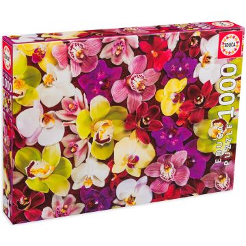 Puzzle Educa din 1000 de piese - Orhidee