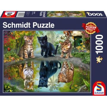 Puzzle Schmidt din 1000 de piese - Visează îndrăzneț!