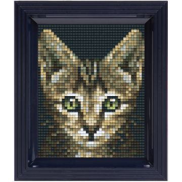 Set creativ cu cadru și pixeli Pixelhobby - Pisică, Pixel Classic