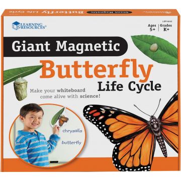 Set magnetic Learning Resources - Ciclul de viață al unui fluture