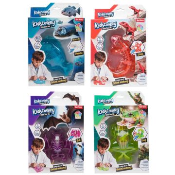 Trusă științifică ohntoy - Science Explorer, pentru disecție, sortiment