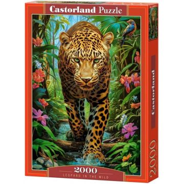 Puzzle Castorland din 2000 piese -  Leopard în sălbăticie