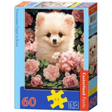 Puzzle Castorland din 60 piese - Pomeranian printre trandafiri