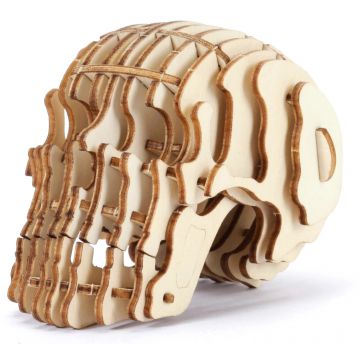 Puzzle 3D din lemn Kikkerland - Craniu