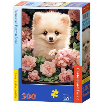 Puzzle Castorland din 300 piese - Pomeranian printre trandafiri