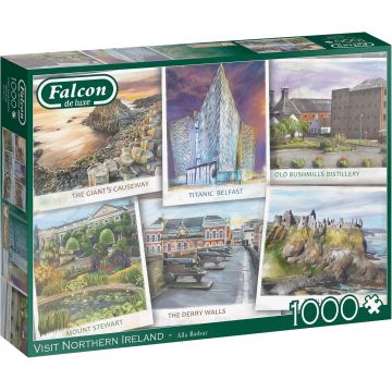Puzzle Falcon din 1000 piese - Irlanda de Nord