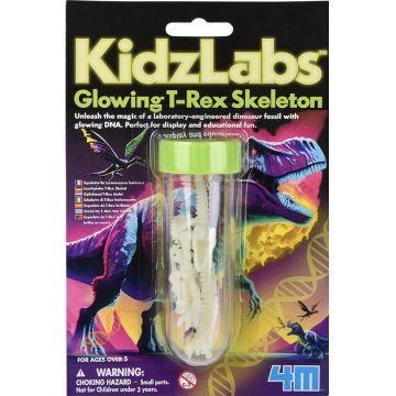 Set creativ 4M KidzLabs - Schelet de dinozaur T-Rex strălucitor