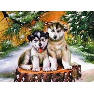 Pictură mozaic cu diamante  MagicArt: Premium - Căței mici, 20 х 30 cm, cu mărgele rotunde + AB