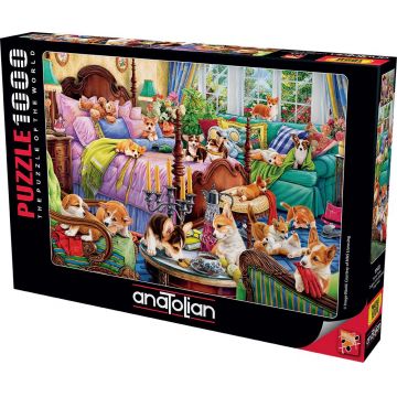 Puzzle Anatolian din 1000 piese - Căței în dormitor