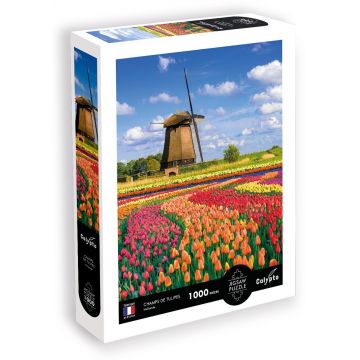 Puzzle Calypto din 1000 piese - Câmp de lalele