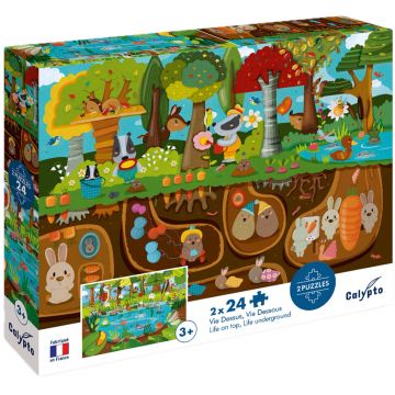 Puzzle pentru copii Djeco - Viața sus și jos, 2 х 24 piese