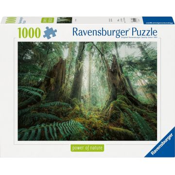 Puzzle Ravensburger  din 1000 de piese  - Pădure fermecătoare