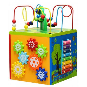 Cub educațional cu activități 5 în 1 Acool Toy