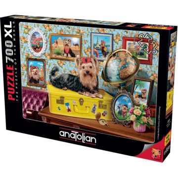 Puzzle Anatolian din 700 XL piese - Yorkshire Terrier