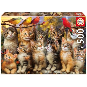 Puzzle Educa din 500 piese - Pisicuțe și păsări