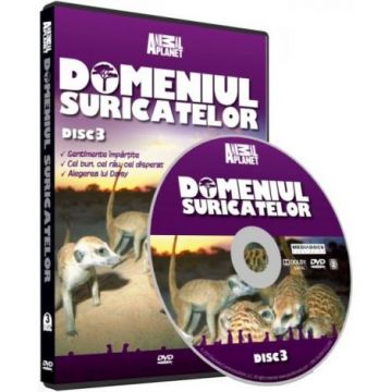 DVD Domeniul Suricatelor disc 3 Discovery