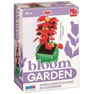 Mini constructor RS Toys Bloom Garden - Crassula Ovata 
