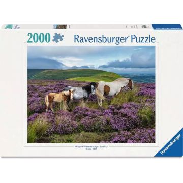 Puzzle Ravensburger din 2000 piese - Cai sălbatici în câmpie