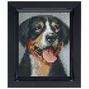 Mozaic cu ramă  Pixelhobby - Câine Sennenhund, Kit Pixel Clasic