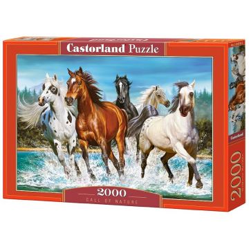 Puzzle Castorland din 2000 de piese - Chemarea naturii