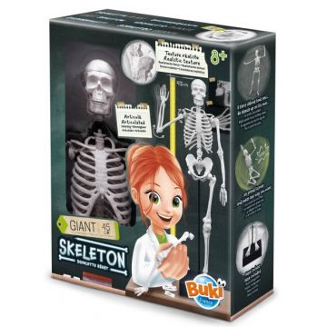 Set creativ Buki France - schelet uman DIY, 45 cm