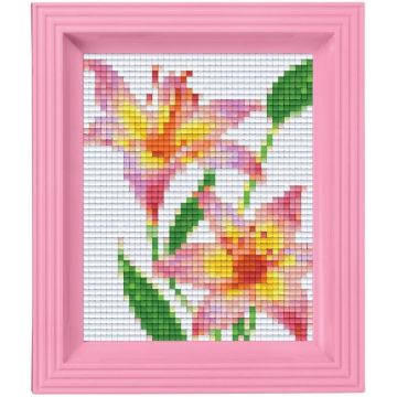 Set creativ cu cadrul și pixel Pixelhobby Classic - Flori