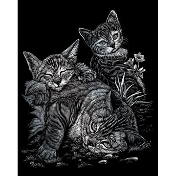 Set de gravat Royal - Pisici, 20 x 25 cm