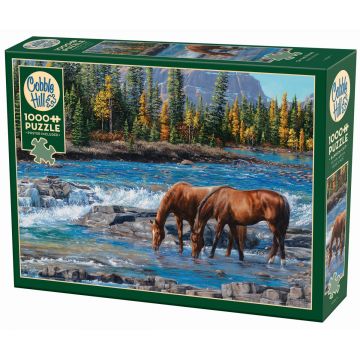 Puzzle Cobble Hill din 1000 de piese - Adăpătoare printre stânci