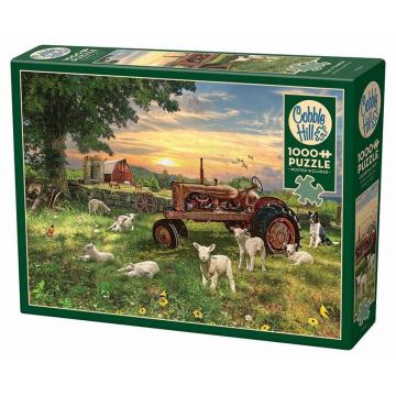 Puzzle Cobble Hill din 1000 de piese - Răsărit deasupra câmpului