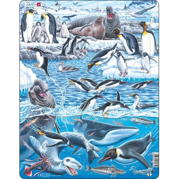 Puzzle pentru copii Larsen din 66 de piese - Antarctica rece și frumoasă