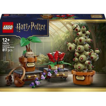 Constructor LEGO Harry Potter - Plante pentru ora de Herbologie de la Hogwarts(76474)