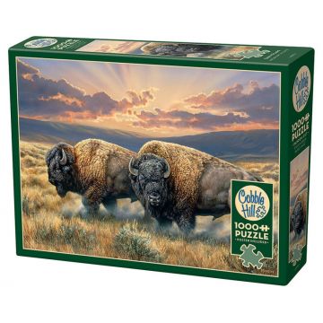 Puzzle Cobble Hill din 1000 de piese - Câmpiile prăfuite