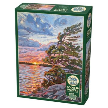 Puzzle Cobble Hill din 1000 de piese - Pe aripile vântului