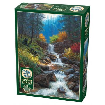 Puzzle Cobble Hill din 1000 piese - Cascadă de munte