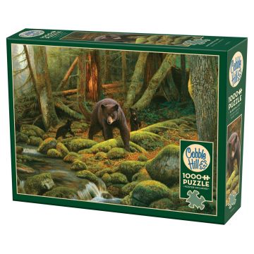 Puzzle Cobble Hill din 1000 piese - Mama Natură