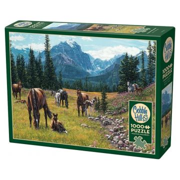 Puzzle Cobble Hill din 1000 piese - Pajiște cu cai